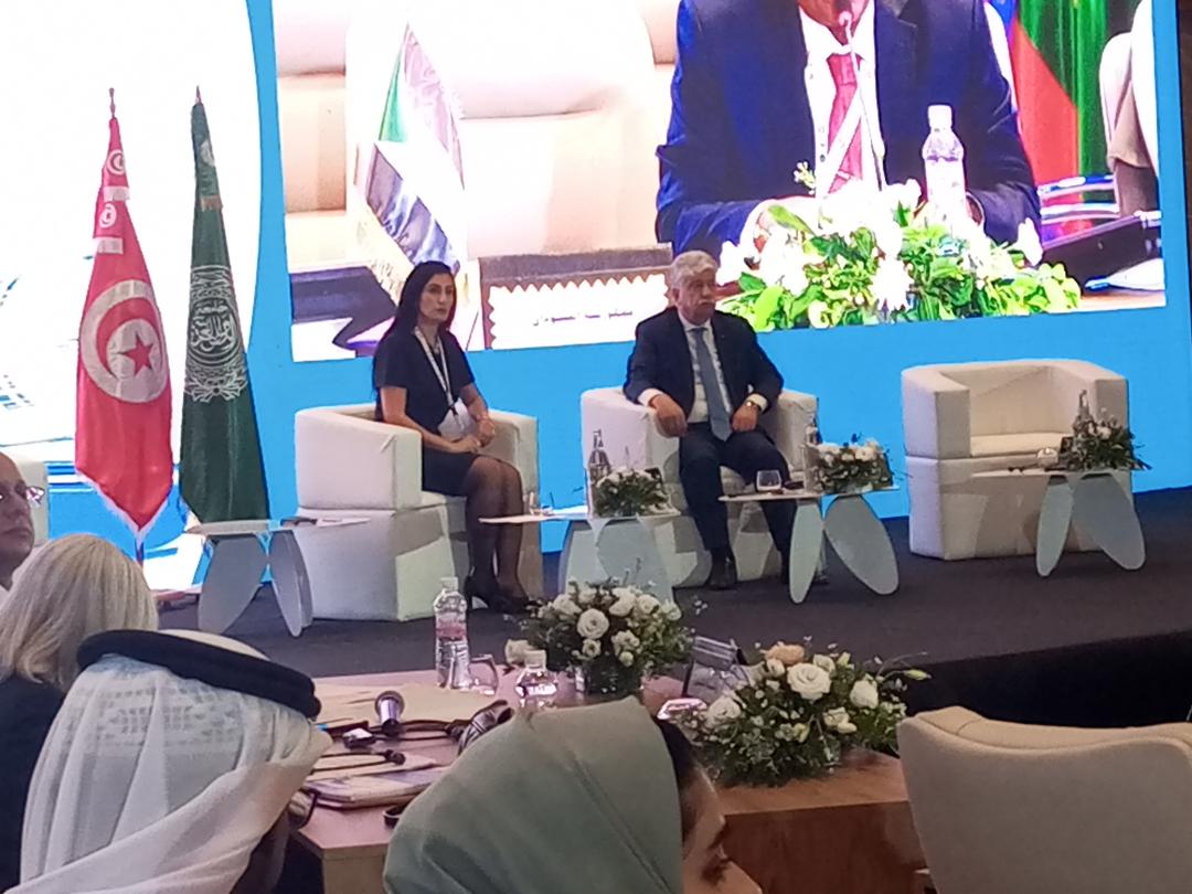  وزير التنمية الاجتماعية أحمد مجدلاني خلال مشاركته في المنتدى رفيع المستوى حول العقد العربي الثاني للأشخاص ذوي الإعاقة بتونس